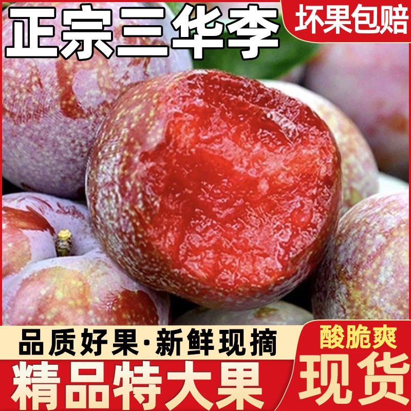 广东信宜钱排三华李酸脆李子红心李顺丰快递包邮