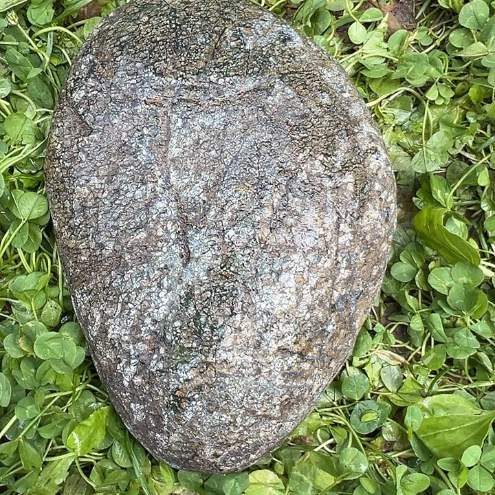 燚****合金查罗石藏玉藏玉