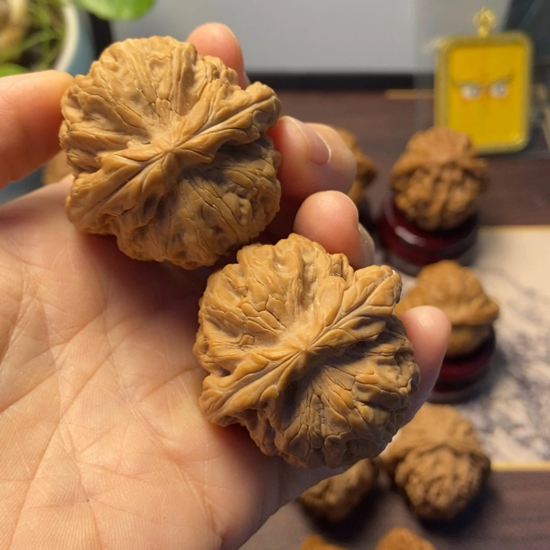 文玩核桃把件红锦鲤尺寸41