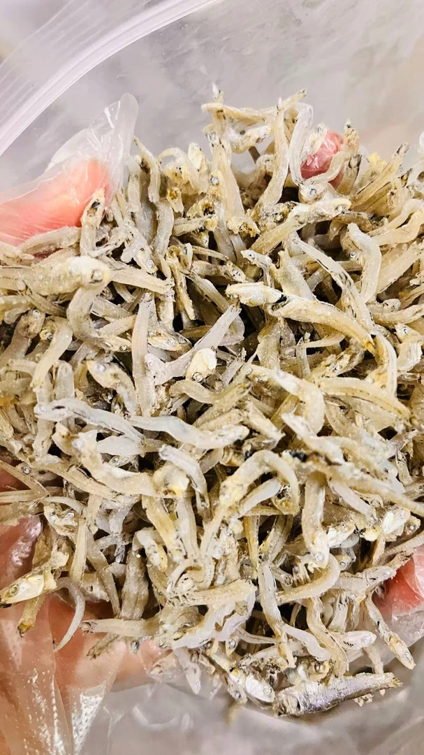 海南本港海鲜干货小银鱼