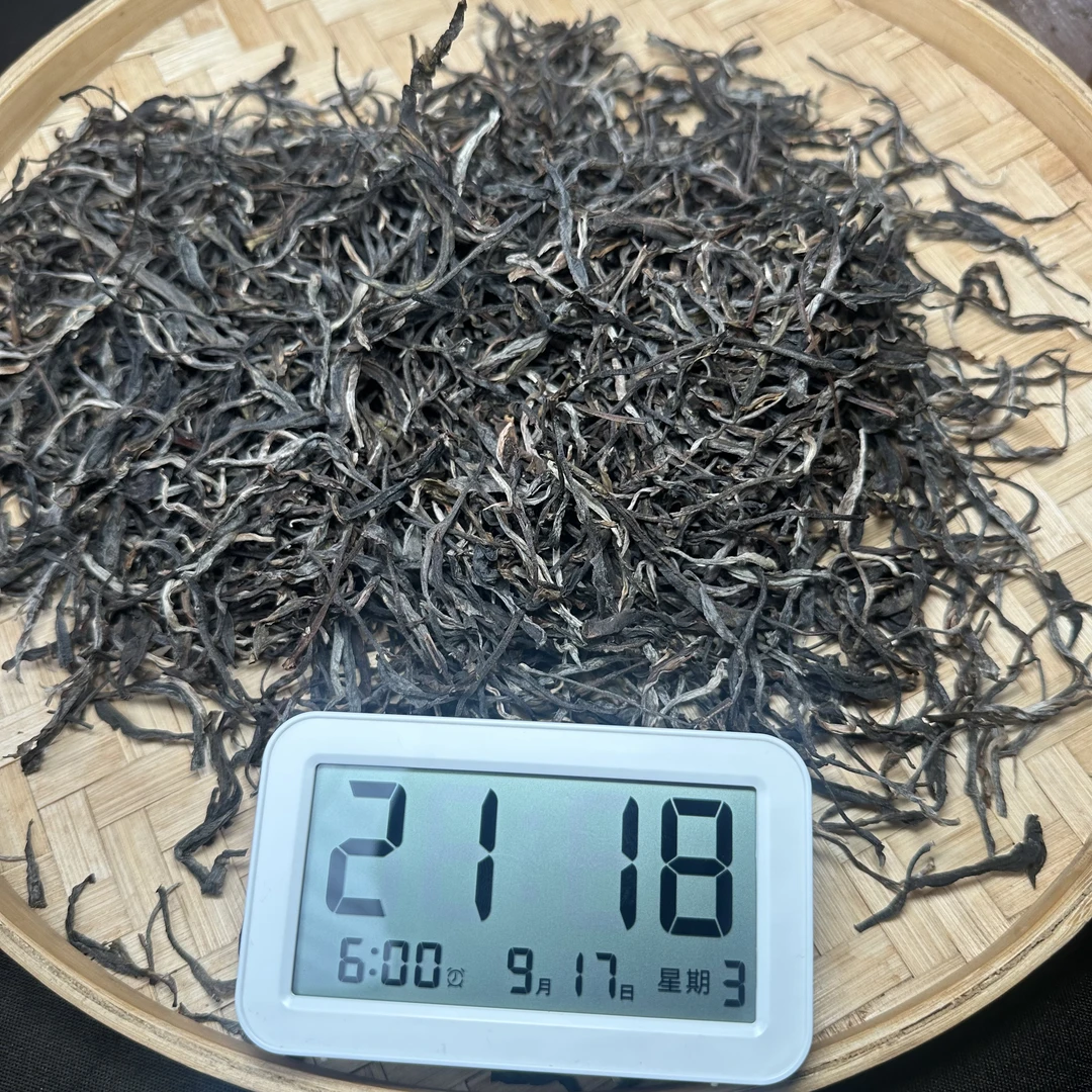 【550号】2023年易武秘境生散茶（9月17号）C