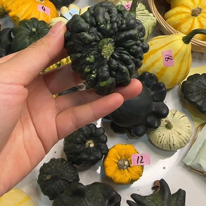 无花朵兔兔他兔兔兔兔