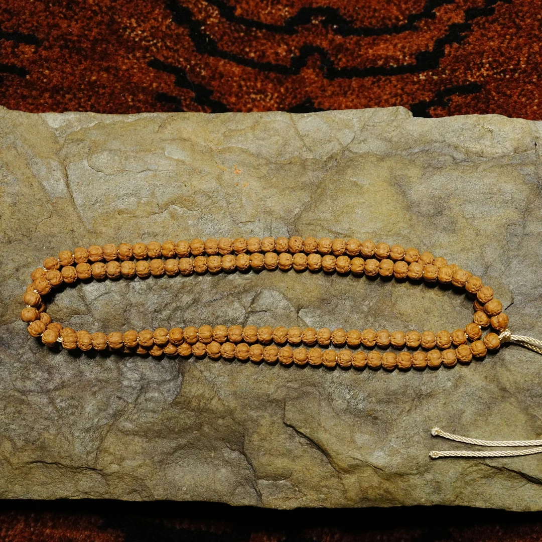 【王子豪专属】佛手原桩金刚菩提