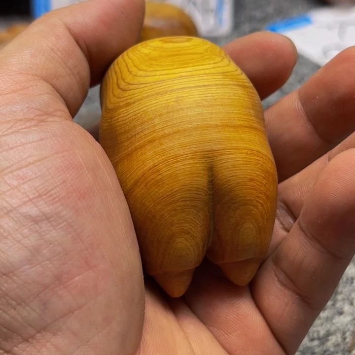 柏木（崖柏）崖柏221