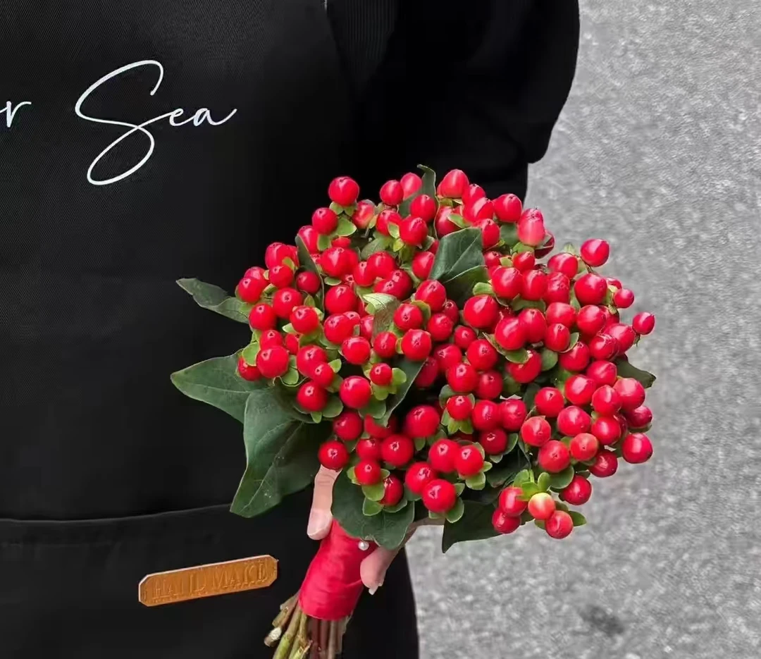 【红豆】云南鲜花基地直发相思豆鲜切花水养现采任意拍三单送花瓶