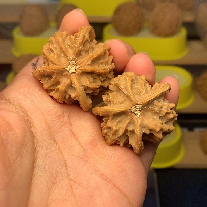 把件文玩核桃三棱