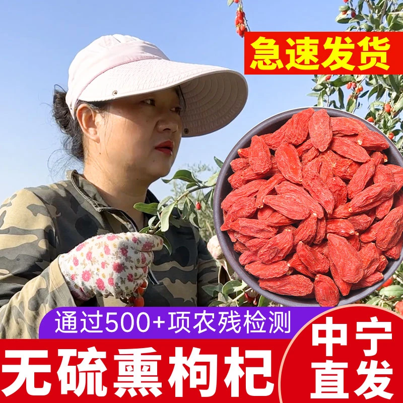 陈娟枸杞头茬枸杞16年生态种植泡酒干吃干嚼煲汤泡茶中果新货