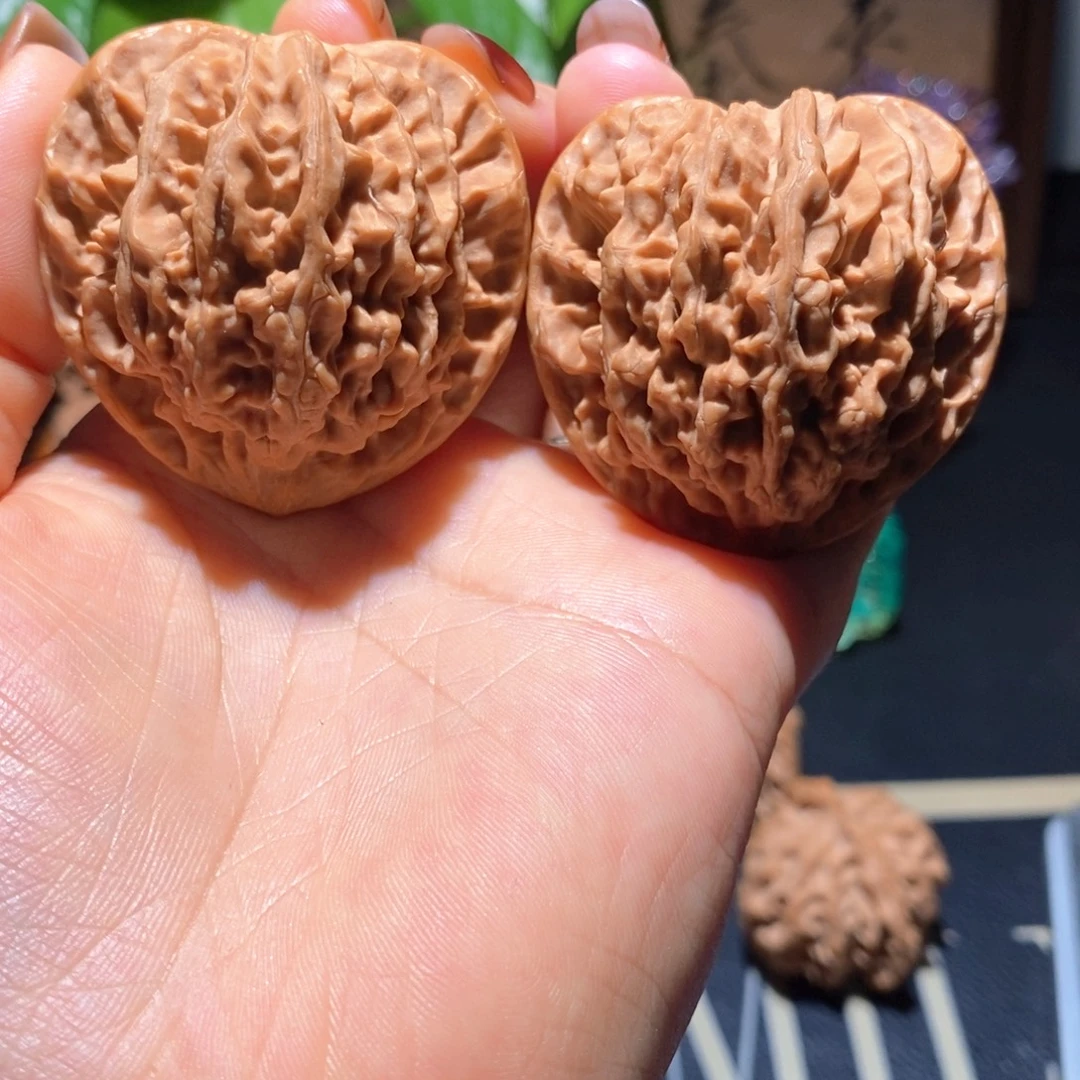 非***哥文玩核桃把件京八对44.5