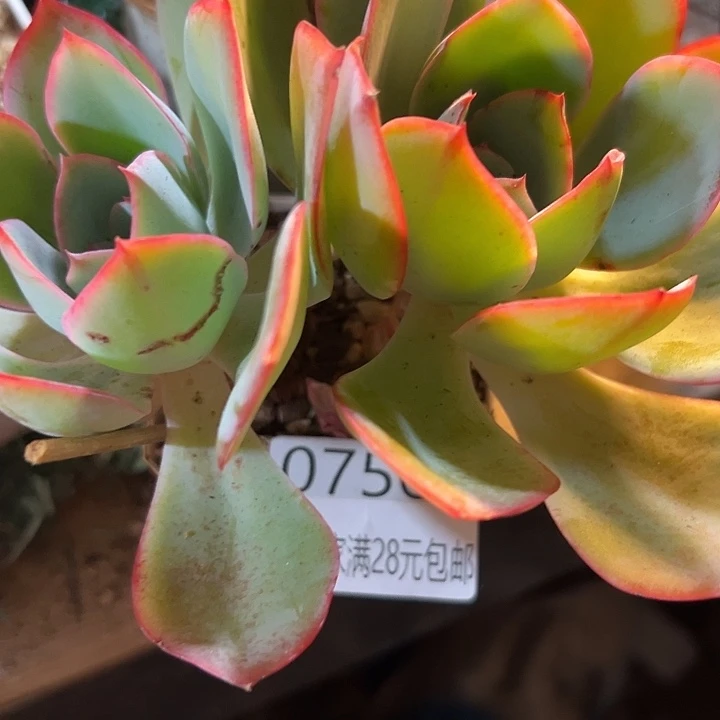 幸运的是我还没遇到过