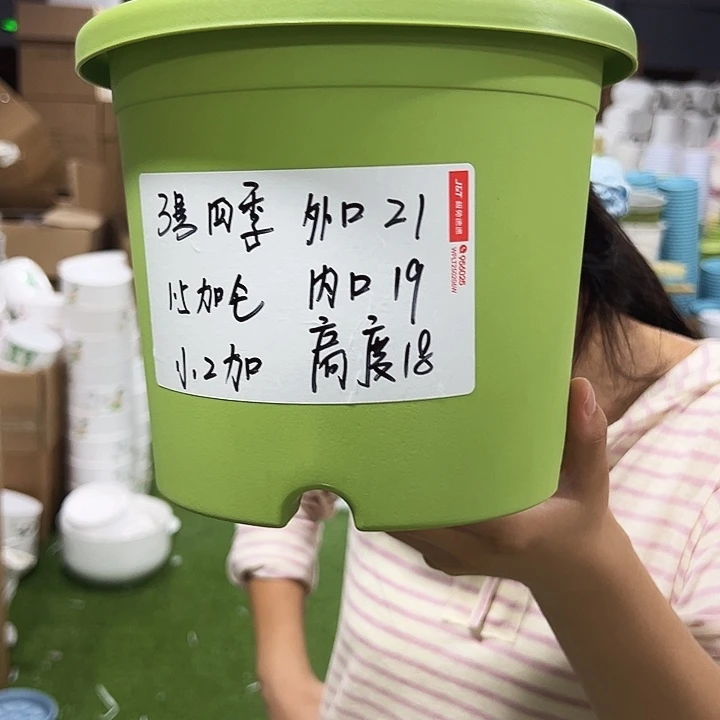 特价3号四季口21高18果绿十只无托