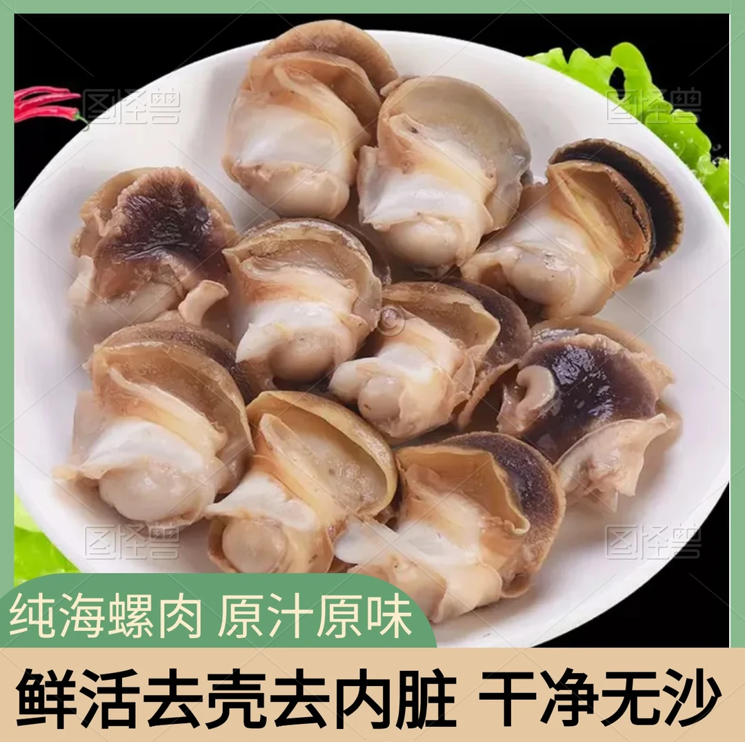 大号海螺肉海螺头鲜活现剥去壳去内脏无沙新鲜速冻螺类海鲜