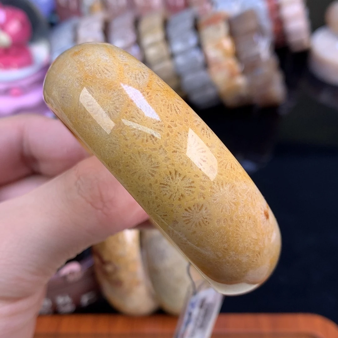 【闪购商品】颈饰未镶嵌硅化珊瑚（珊瑚玉）30号56圈金大花