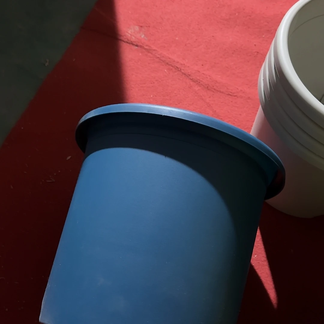 树脂四季6号无托10个藏青