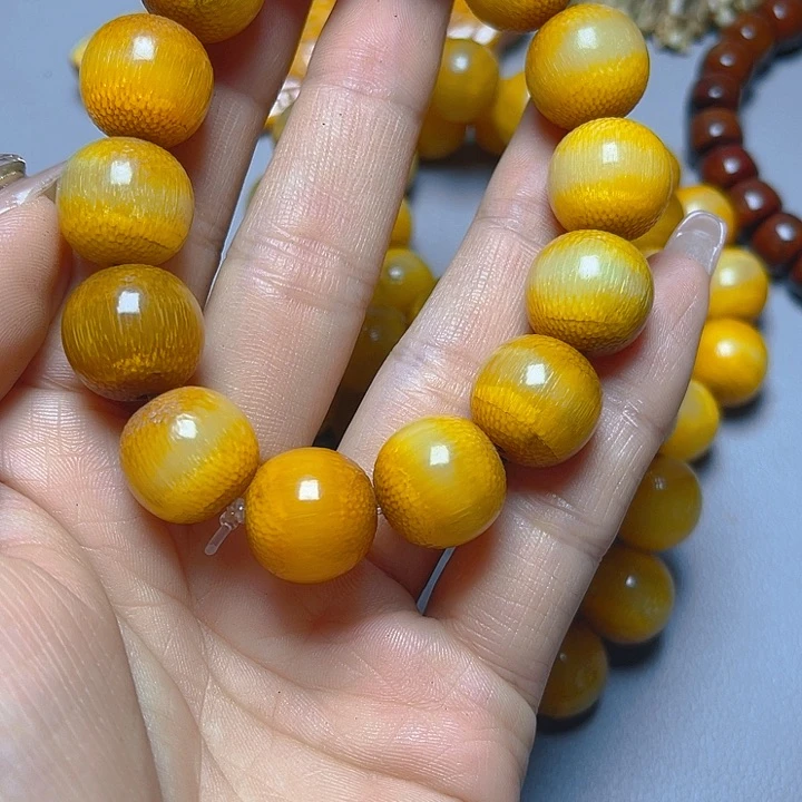 大果紫檀（缅甸花梨）