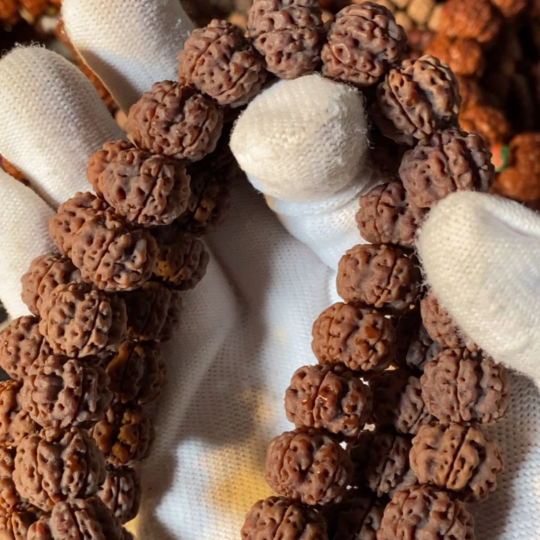 金刚菩提吊坠龙爪梅花