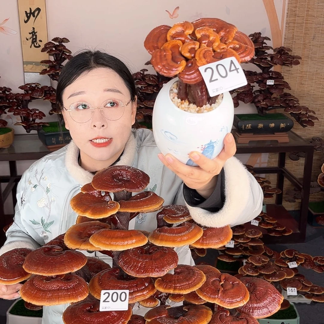 万事如意888888204