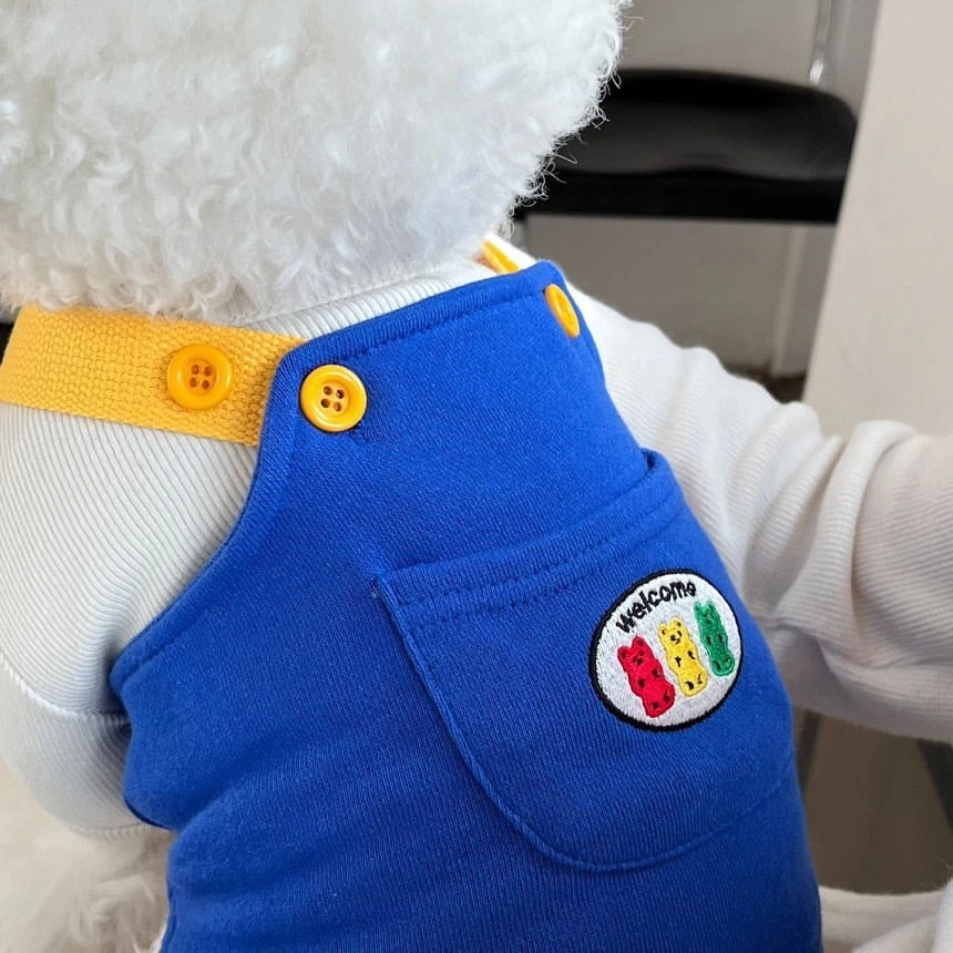 狗狗博美泰迪猫咪宠物衣服春秋背带裤小型犬比熊夏新款