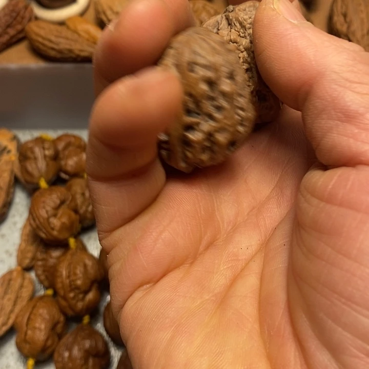 吊坠文玩核桃不错