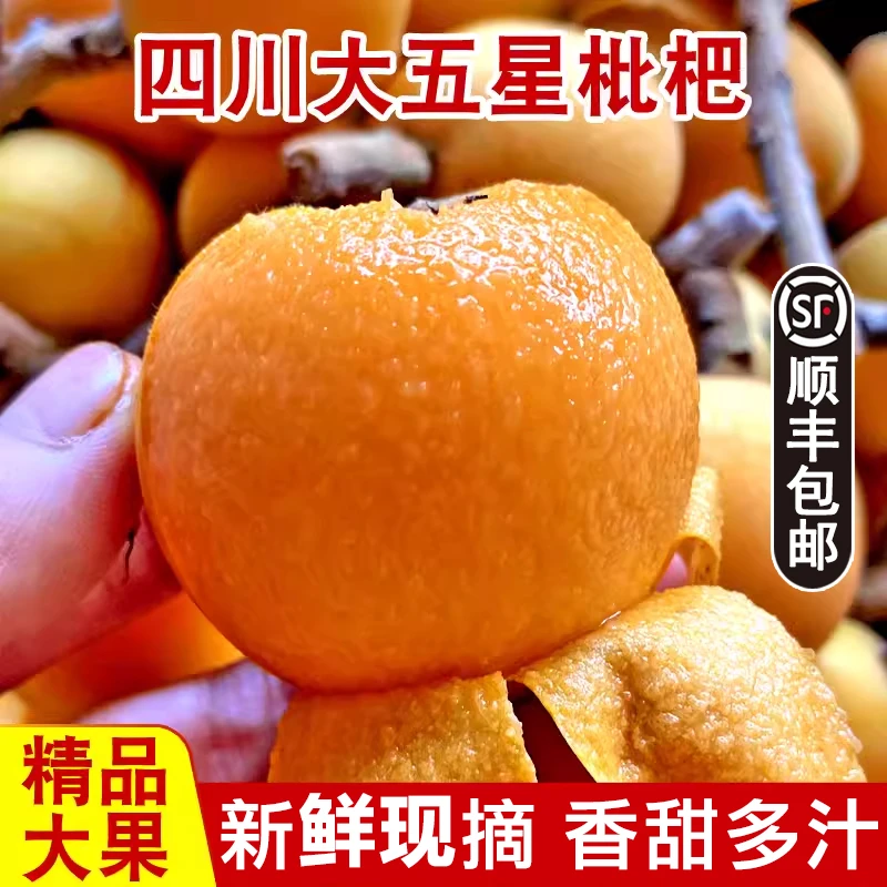 【顺丰快递】四川枇杷新鲜大果大五星甜琵琶水果当季孕妇应季批把