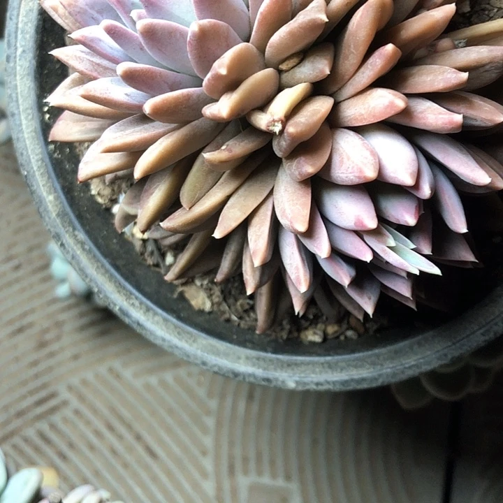 远*86////////////////////