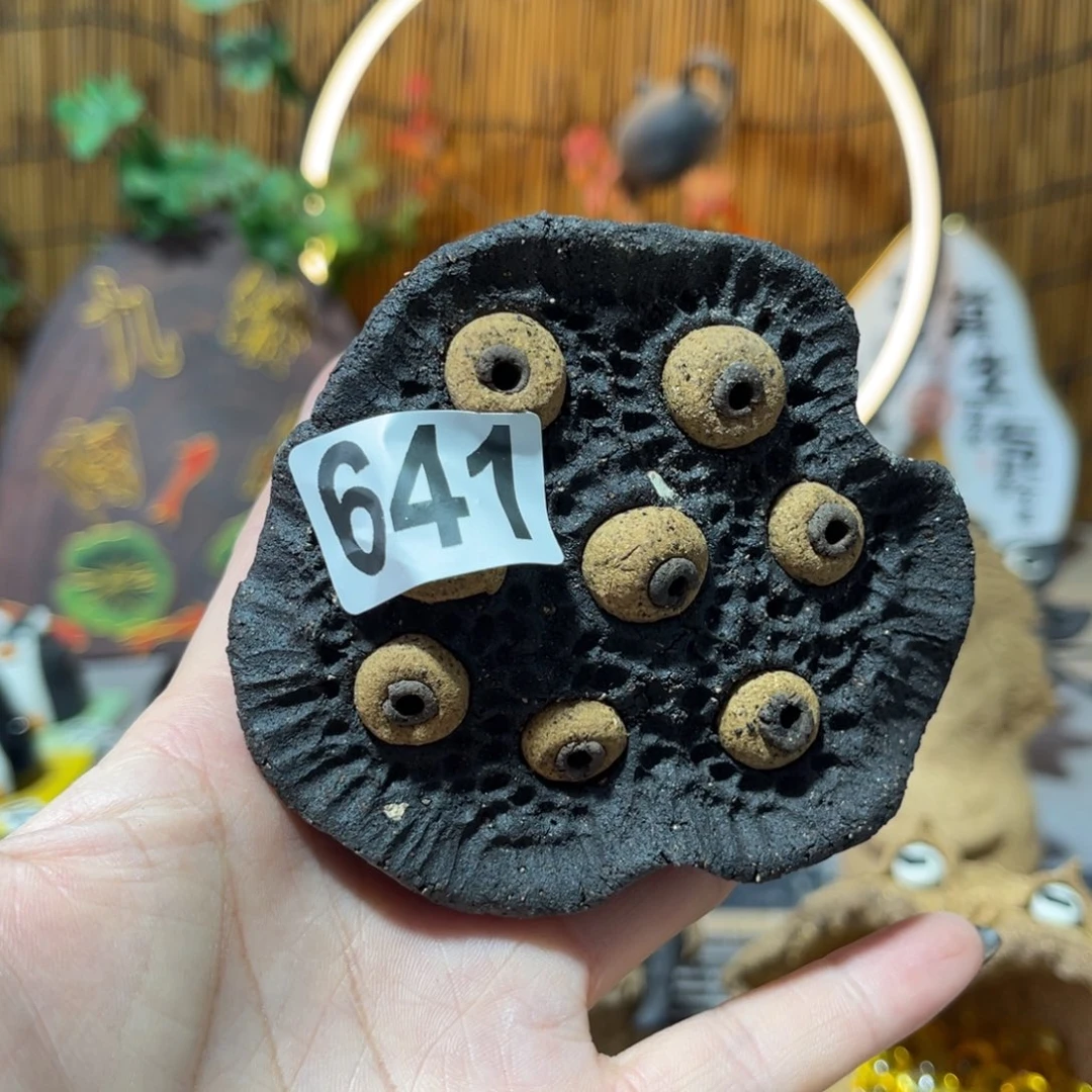 木村信弘柴烧保平