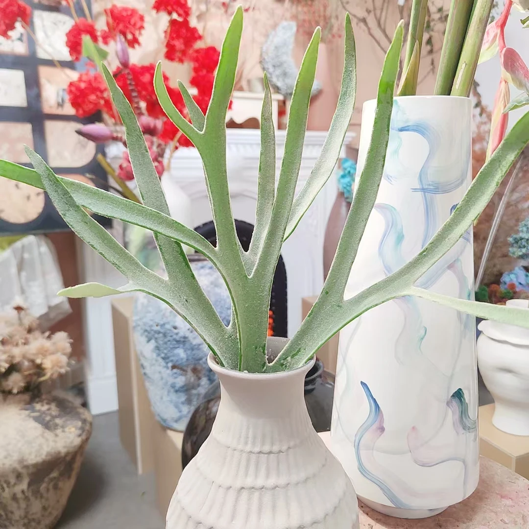 一花一木【鹿角撅鲜切花】高品质热带花材基地直发 顺丰包邮
