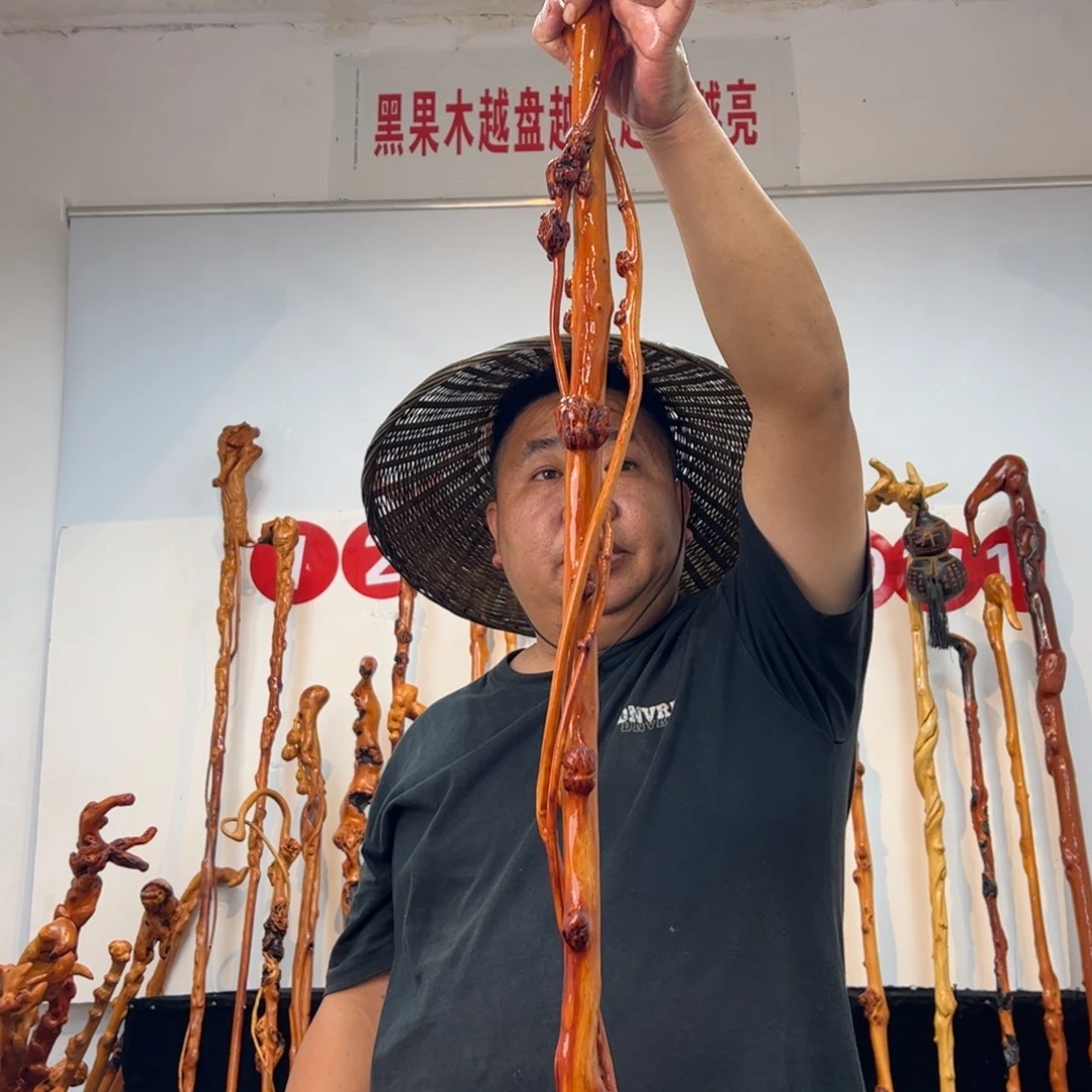 淡***茶黑果木其他黑果木631