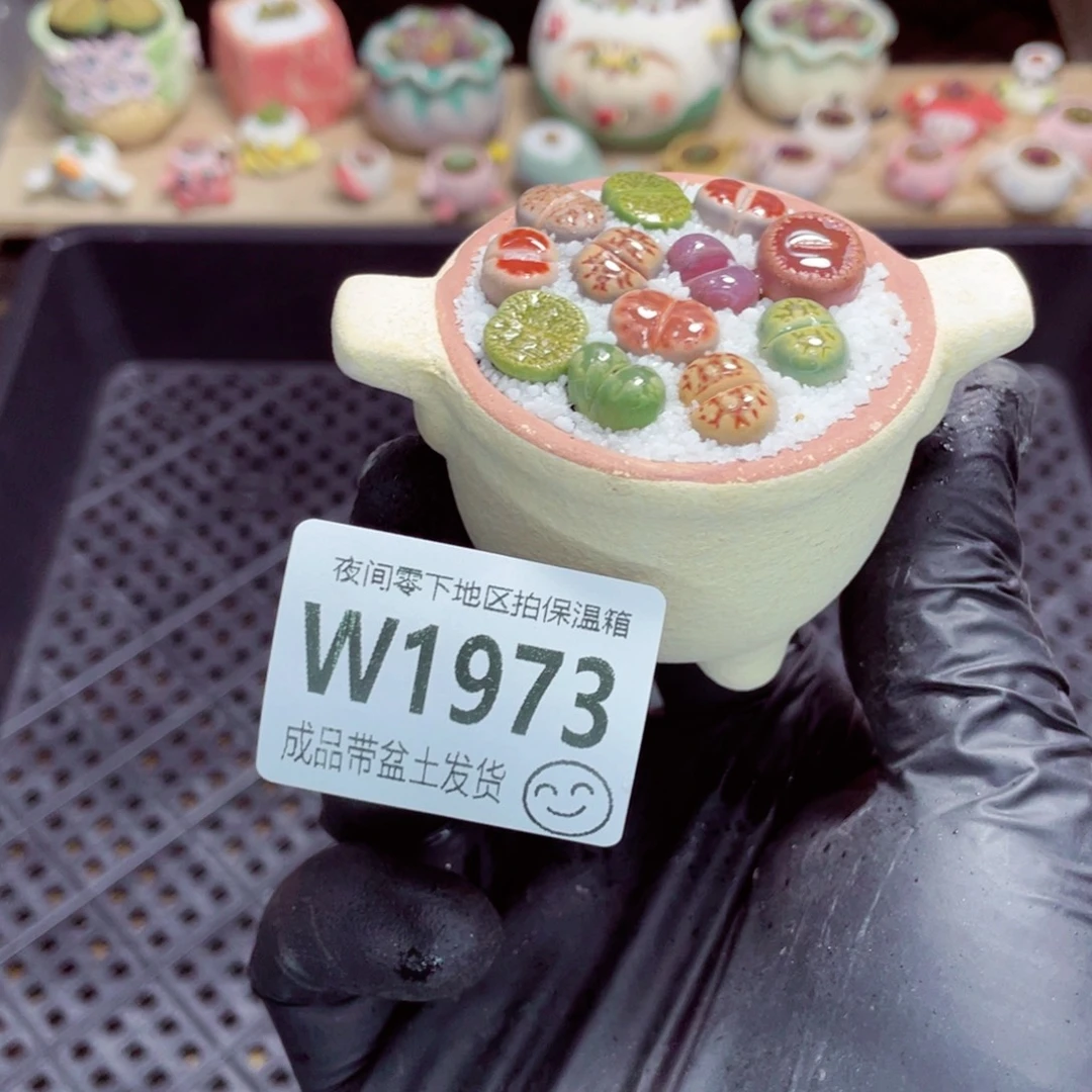 夜间零下地区拍保温箱w1973