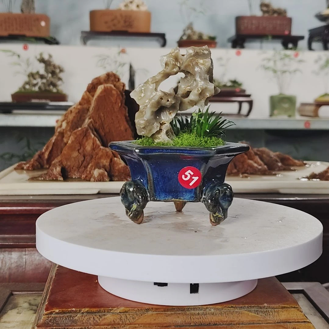 盆景，贵船，玉玲珑，