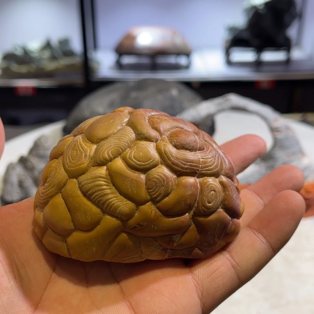 与***舟石材在意那些年你对我们自己