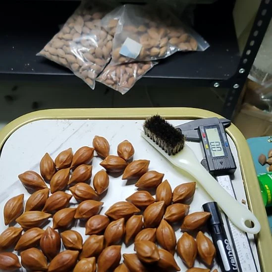 艺***作橄榄核吊坠铁娘子一包