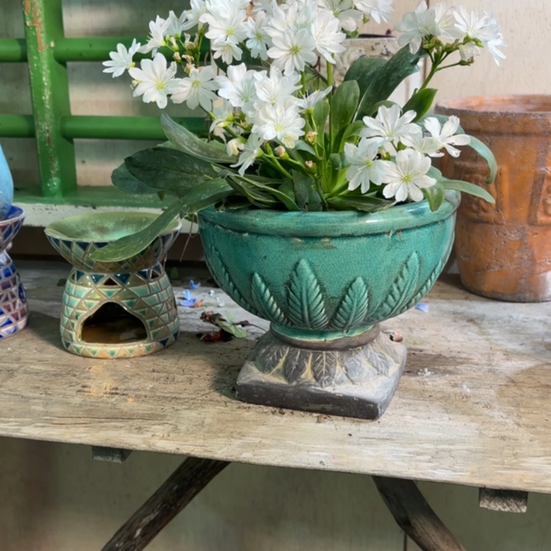 许纯的花房 蓝色圆奖杯