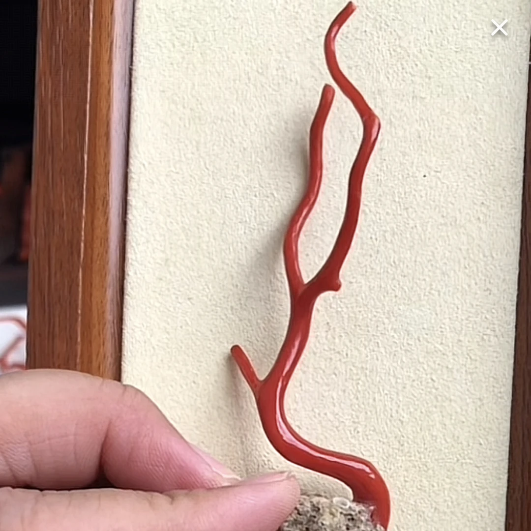 沙丁摆件一个特漏