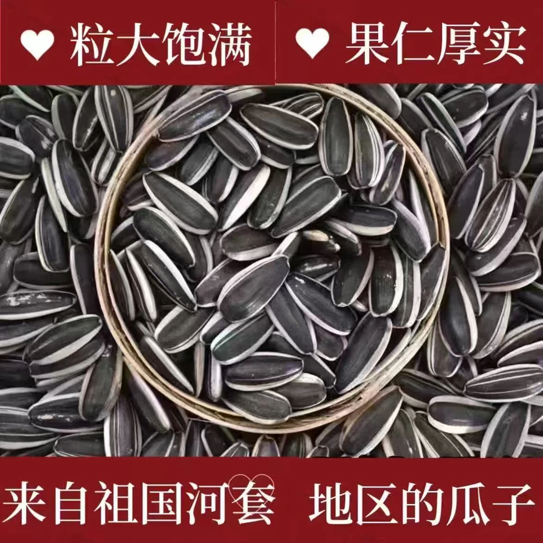 【买一斤送一斤】新鲜炒熟原味葵花籽新货上市休闲零食必备