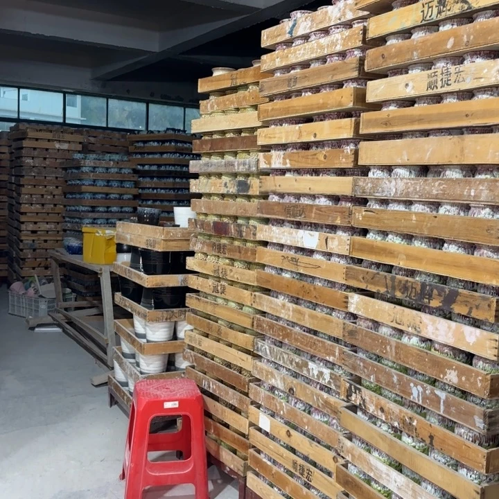 不清楚问客服厂9块包邮