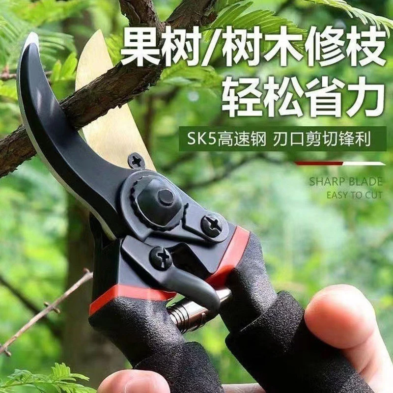 厂家直销德国进口SK5钢园艺剪 不锈钢省力修剪果树粗枝专用修枝剪
