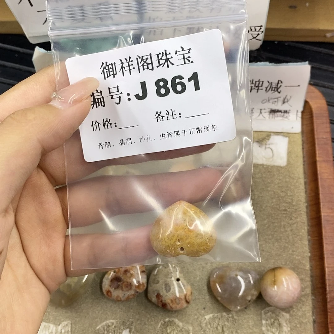 硅化珊瑚（珊瑚玉）未镶嵌颈饰腿***九