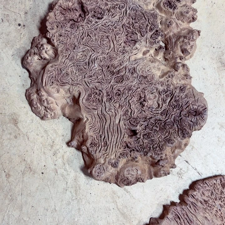 木K*M铁栎木自然边干泡台