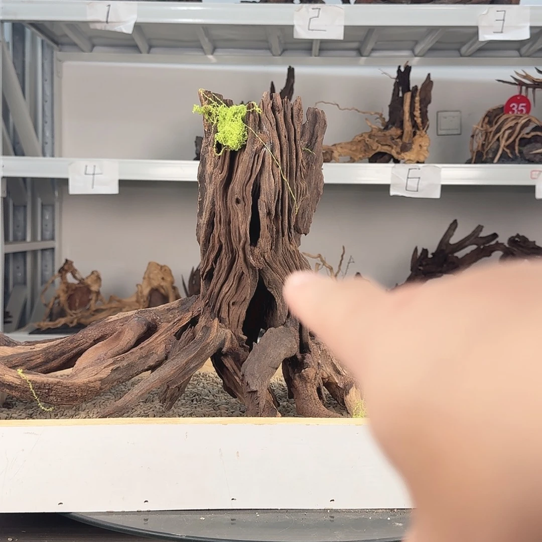 二***毛沉木造景沉木造景