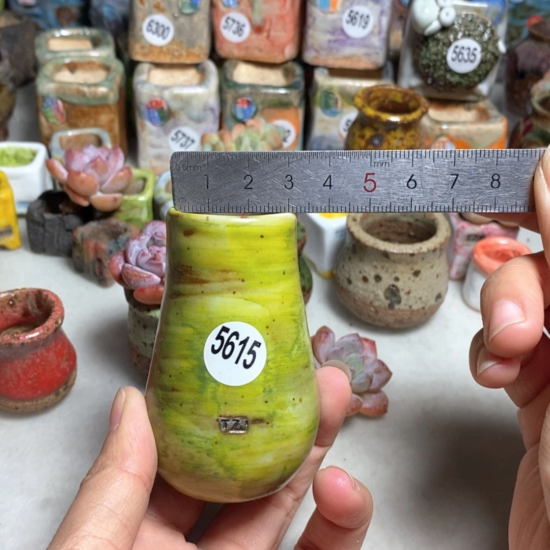 拍5送一个小礼物