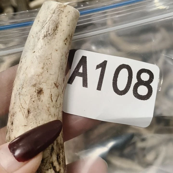 深***忆鹿角鹿角鹿角鹿角鹿角
