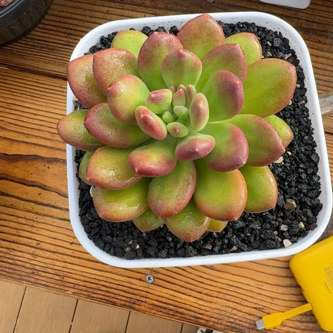 莯***汐啊啊啊啊啊啊啊啊啊啊