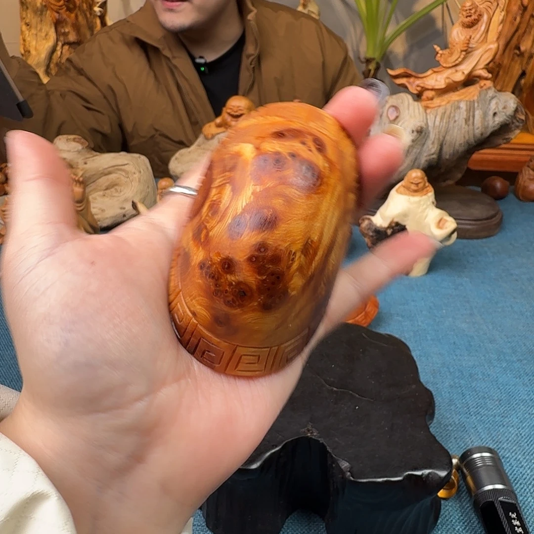 柏木（崖柏）关注一下