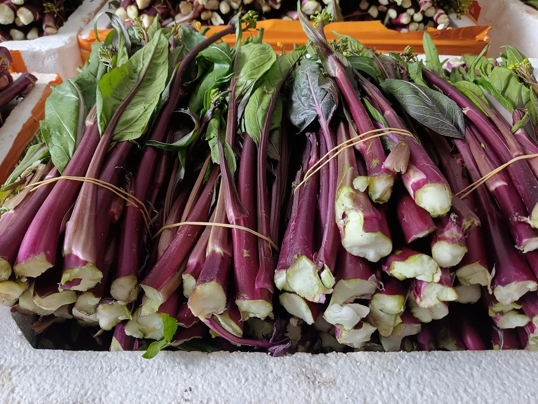 湖北露天种植现摘新鲜红菜苔泡沫箱加冰打包发货