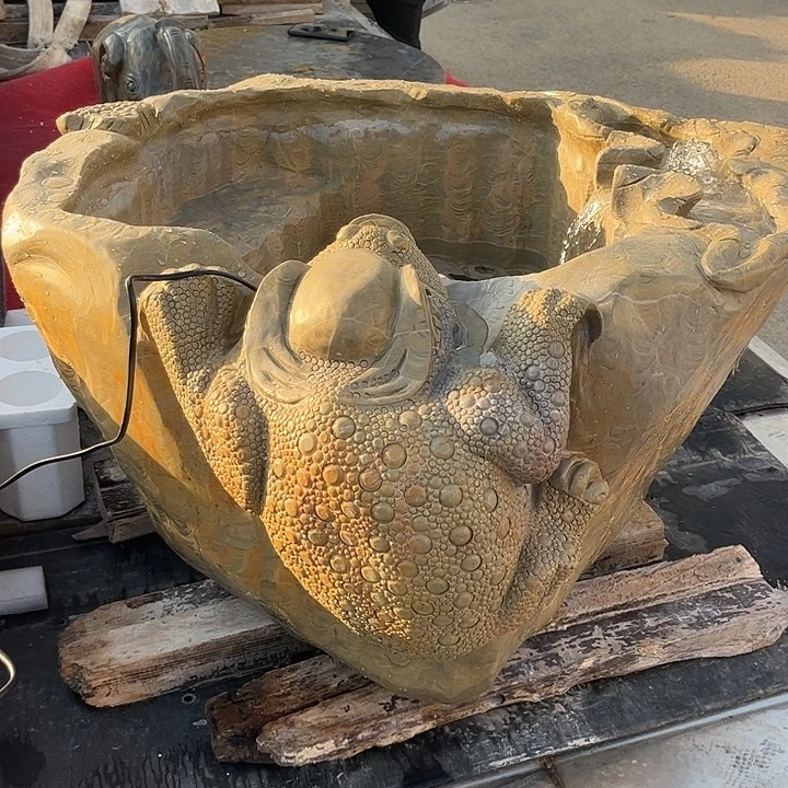 表***理灵璧石金钱石鱼缸