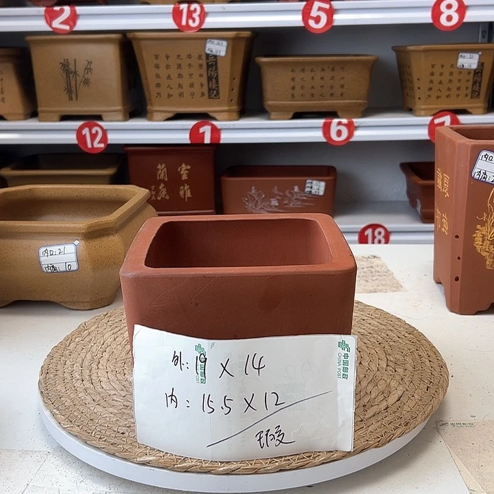 紫砂花盆蛇年大吉