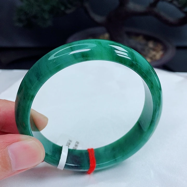 未镶嵌手镯翡翠58.8