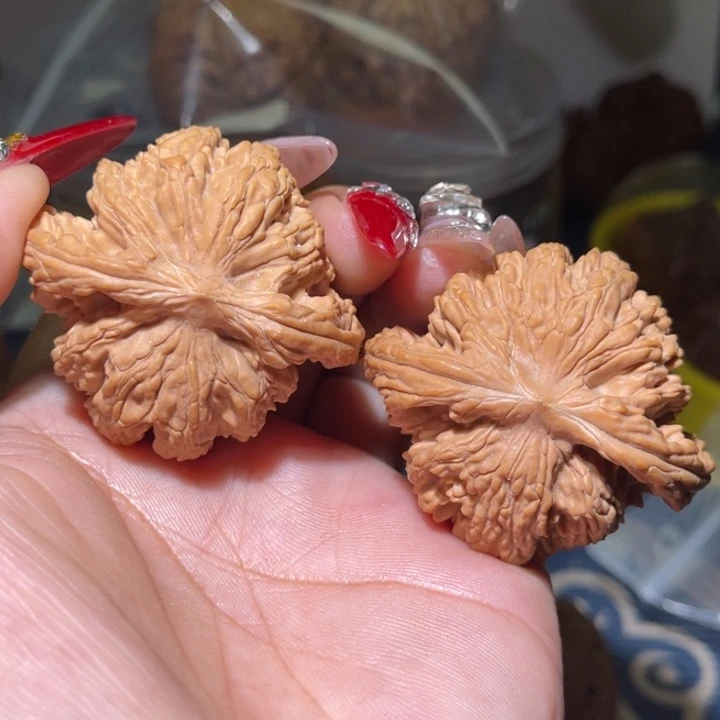 桃核把件              47