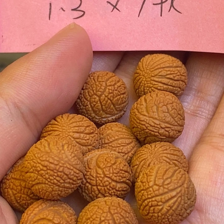 桃核手串秦岭龙纹桃核333