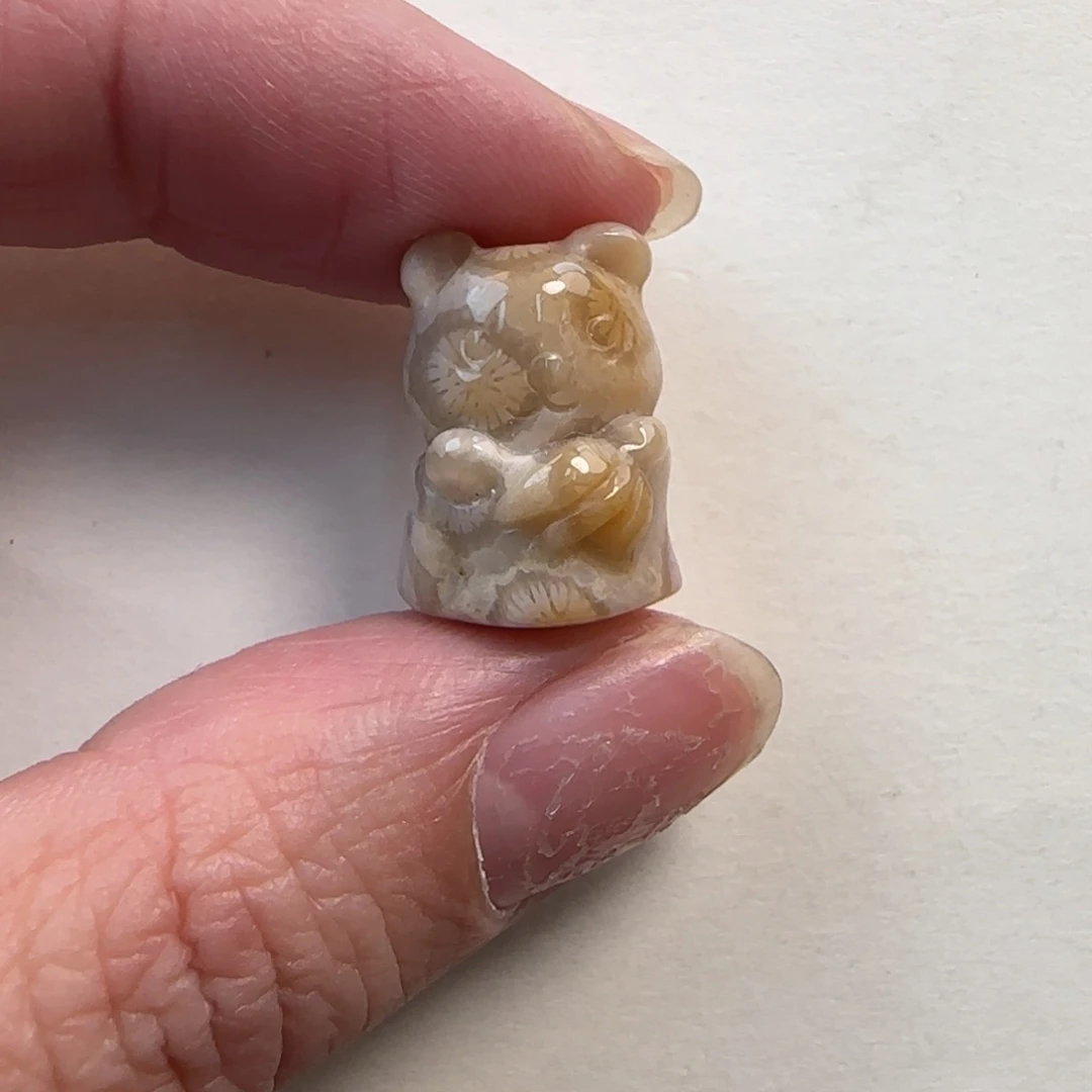 硅化珊瑚（珊瑚玉）未镶嵌手镯